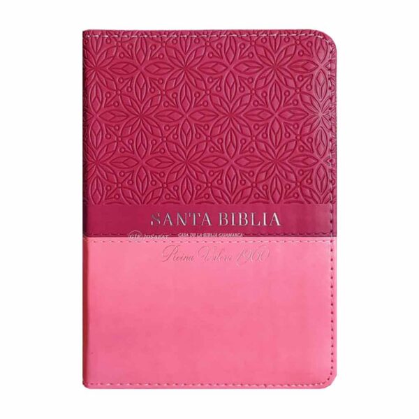 biblia-mundo-biblia-025czti-rosa