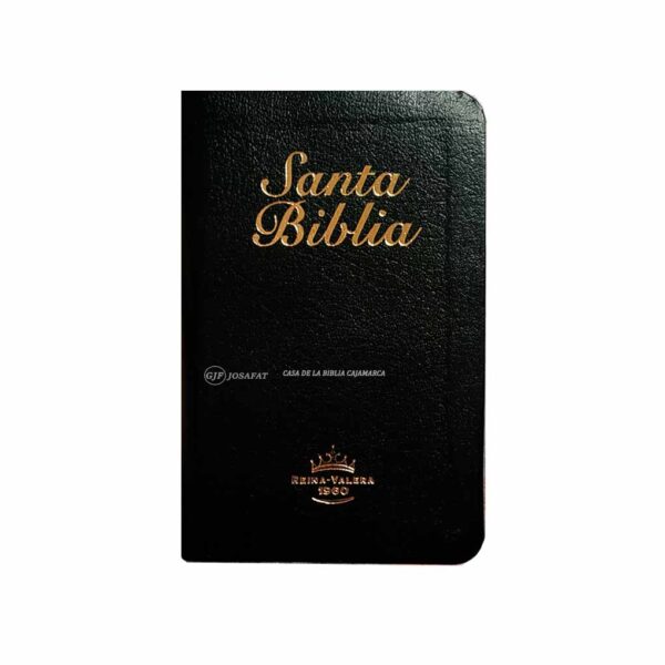 biblia de bolsillo rvr1960