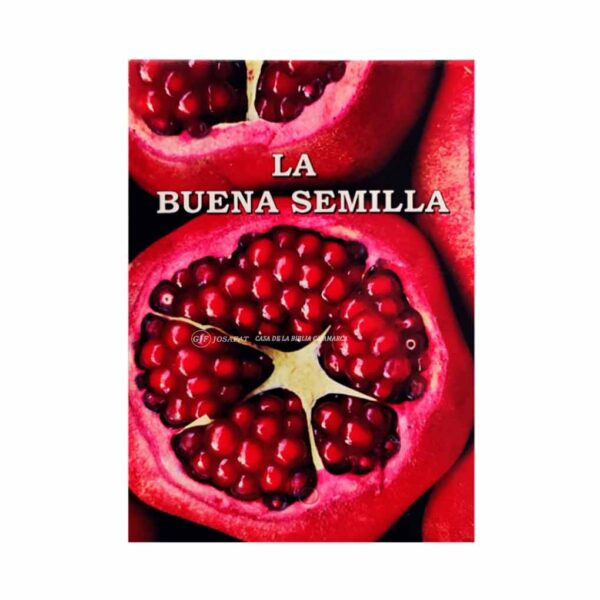 la-buena-semilla-2025