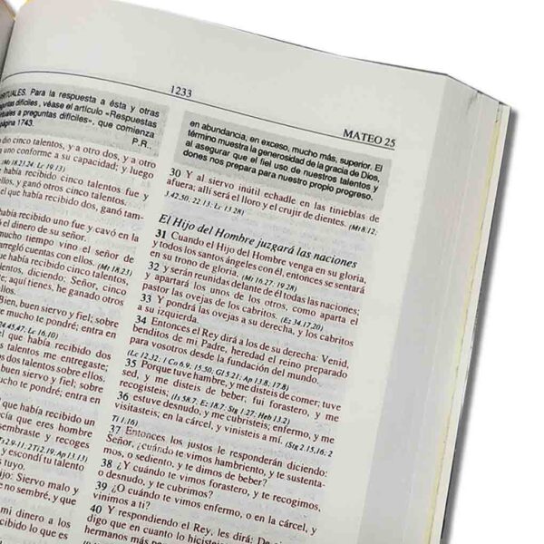 Biblia de Estudio RVR1960 Plenitud Tapa Rustica Manual