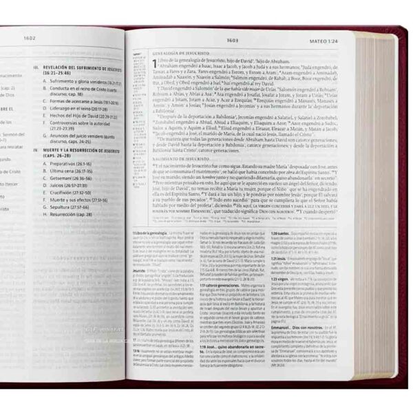 Biblia de Estudio LBLA de la Reforma Tapa Dura Rojo