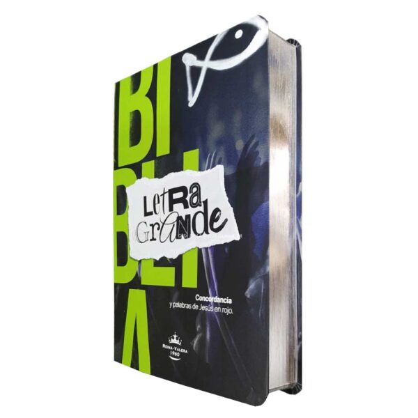 Biblia RVR1960 Letra Grande Joven Eco 12 pts