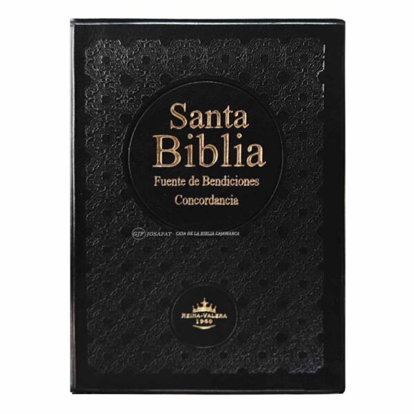 BIBLIA-RVR042CLMFB-NEGRO