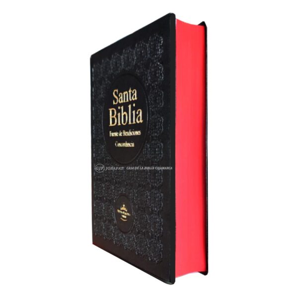 Biblia RVR1960 Fuente de Bendicion Manual Vinil Negro