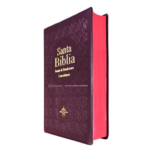 Biblia RVR1960 Fuente de Bendicion Manual Vinil Vino