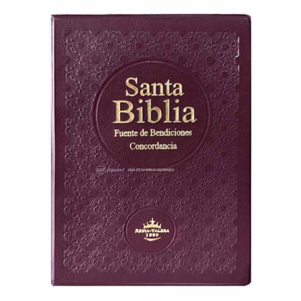 BIBLIA-RVR042CLMFB-vino