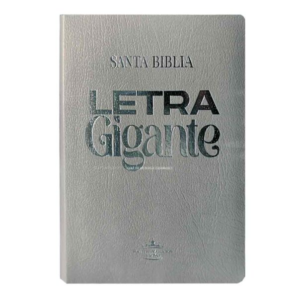 biblia-rvr065clgi-pjrti-per-gris