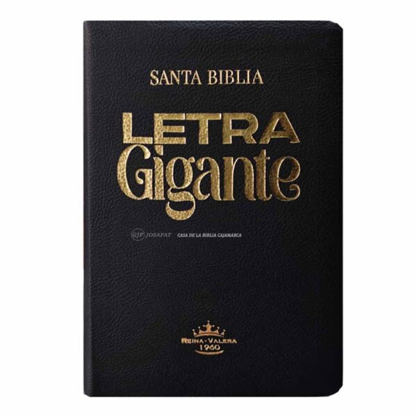 biblia-rvr066clgi-pjrti-per-negro