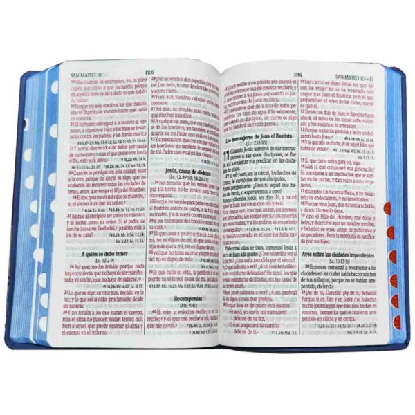 BIblia-rvr-66clg-prjti-azul 3