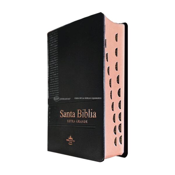 Biblia RVR 1960 Compacta Letra grande Vinil Negro Indice