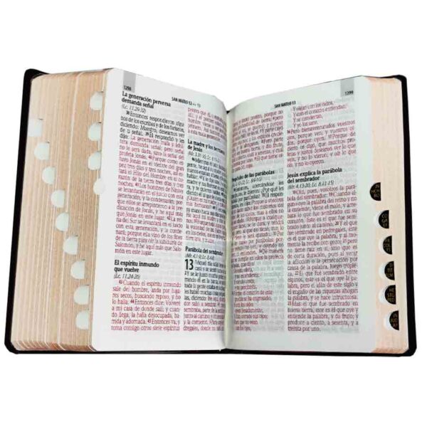 biblia-RVR026clsgi-pjrti-negro 3