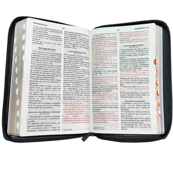 biblia-rvr065czti-lg-pjr-negro-leon 3