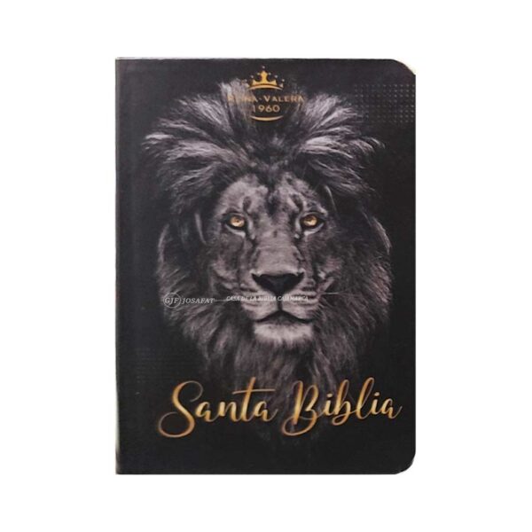 biblia-rvr011e-pjr-leon-negro