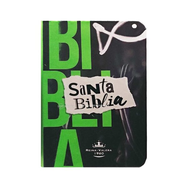 biblia-rvr011e-pjr-verde