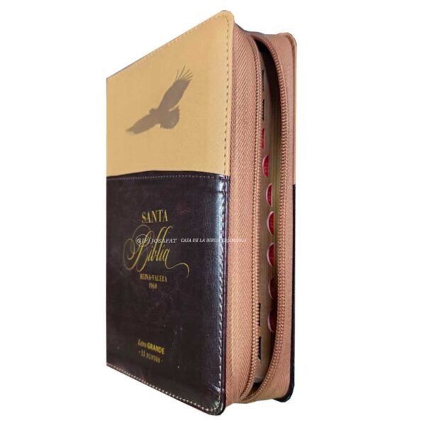 Biblia RVR 1960 Letra Grande 11 Pts Aguila Cafe Cierre e Índice MB