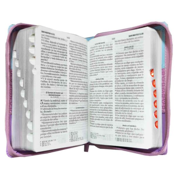 biblia-rvr045czti-mundo-biblia-azul-rosa-lila