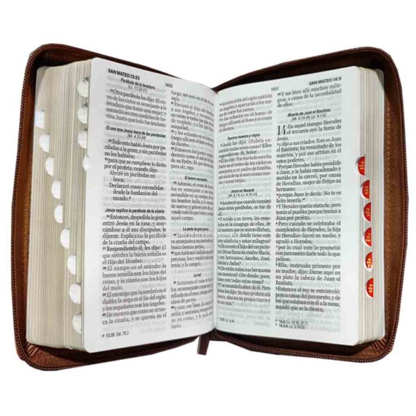 biblia-rvr045czti-mundo-biblia-cafe-tri-color