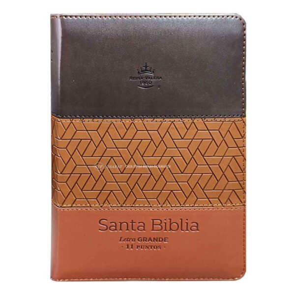 biblia-rvr045czti-mundo-biblia-cafe-tri-color