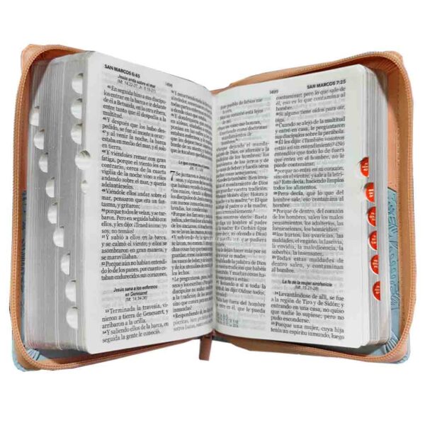 biblia-rvr045czti-mundo-biblia-rosa-azul-pajaros