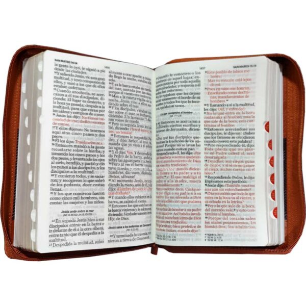 biblia-rvr068czti-lg-pjr-cafe-duo-tono 2