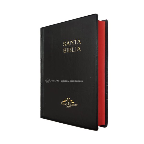 Biblia RVR1909 Compacta Tapa Vinil Negro