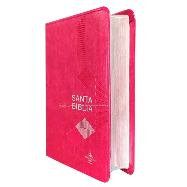 Biblia RVR1960 Manual Piel Filo Plateado Palabras Jesús Rojo Fucsia