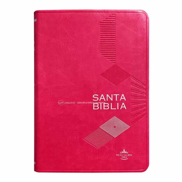 biblia-rvr045clg-pjr-mdm-fucsia-corea.