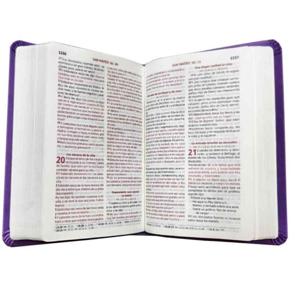 biblia-rvr045clg-pjr-mdm-morado-corea