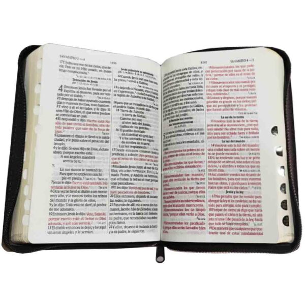 biblia-rvr056clgpjrzti-marron