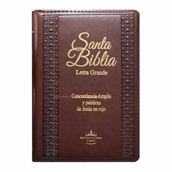 biblia-rvr056clgpjrzti-marron