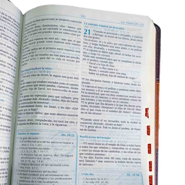 BIBLIA-para-la-predicacion-marron