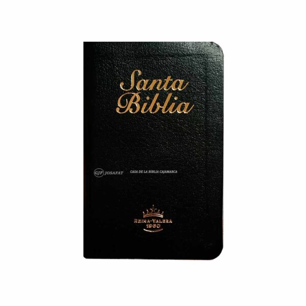 Biblia RVR1960 Bolsillo Mini Biblia Tapa Piel Negro