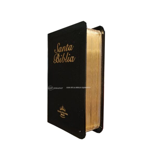 Biblia RVR1960 Bolsillo Mini Biblia Tapa Piel Negro