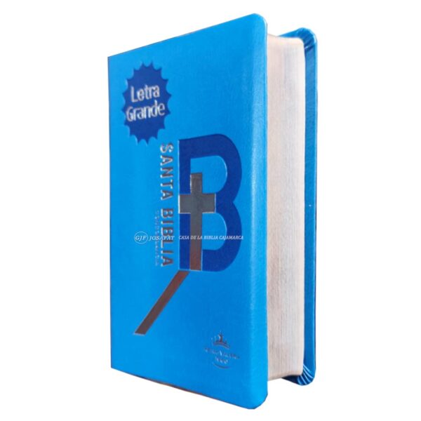 Biblia RVR1960 Manual Piel Filo Plateado Azul DR6