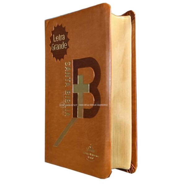 Biblia RVR1960 Manual Piel Filo Dorado Cafe DRG