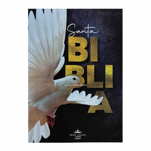 biblia econocmica rvr060