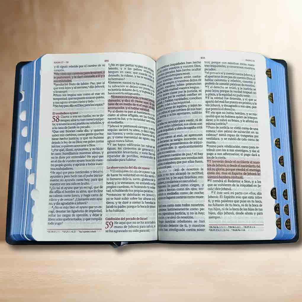 Biblia RVR1960 Fuente de Bendicion Manual Tapa Vinil Indice Azul