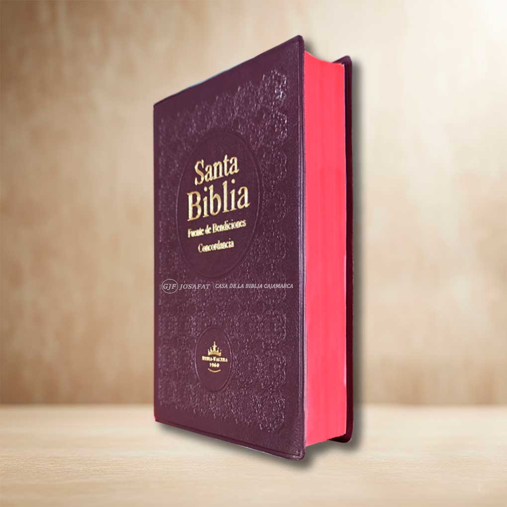Biblia RVR1960 Fuente de Bendición Manual Tapa Vinil Vino
