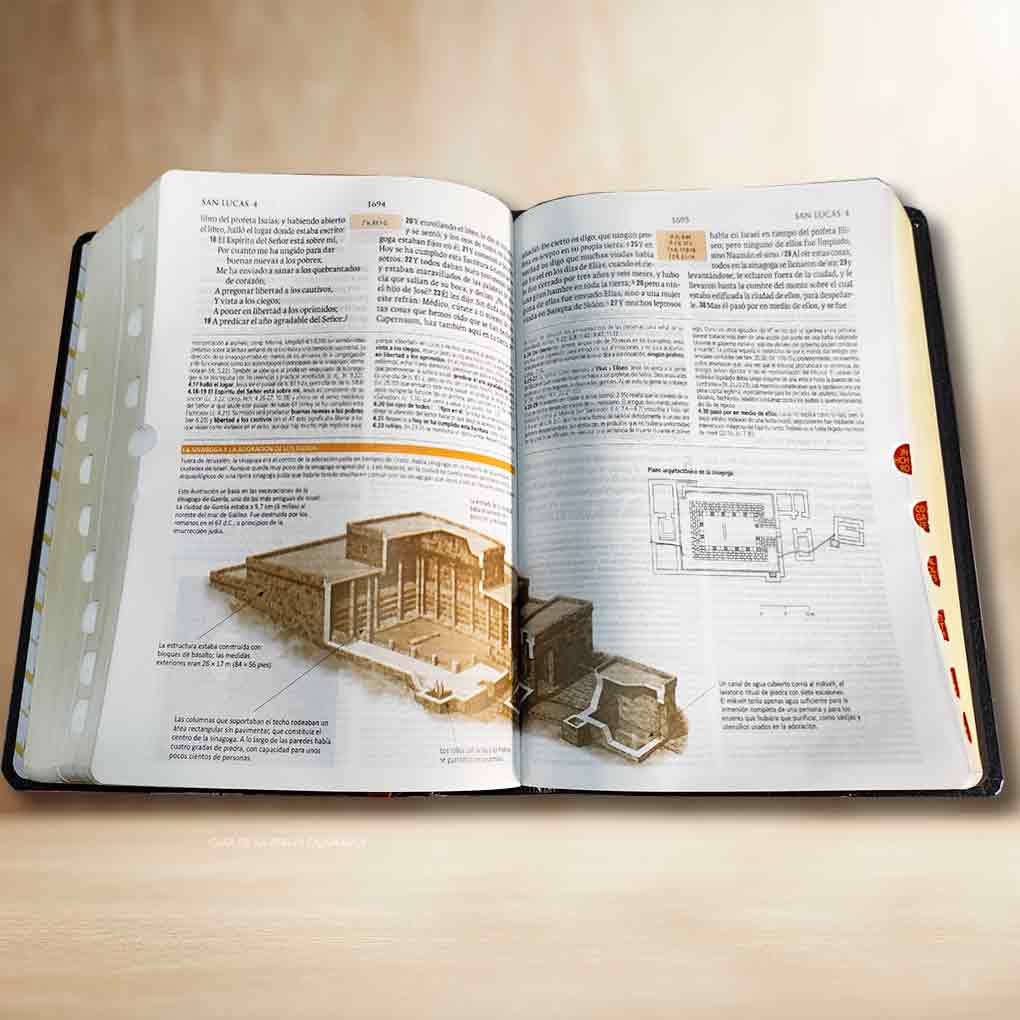Biblia de Estudio Teologico RVR1960 Tapa Dura Filo Dorado
