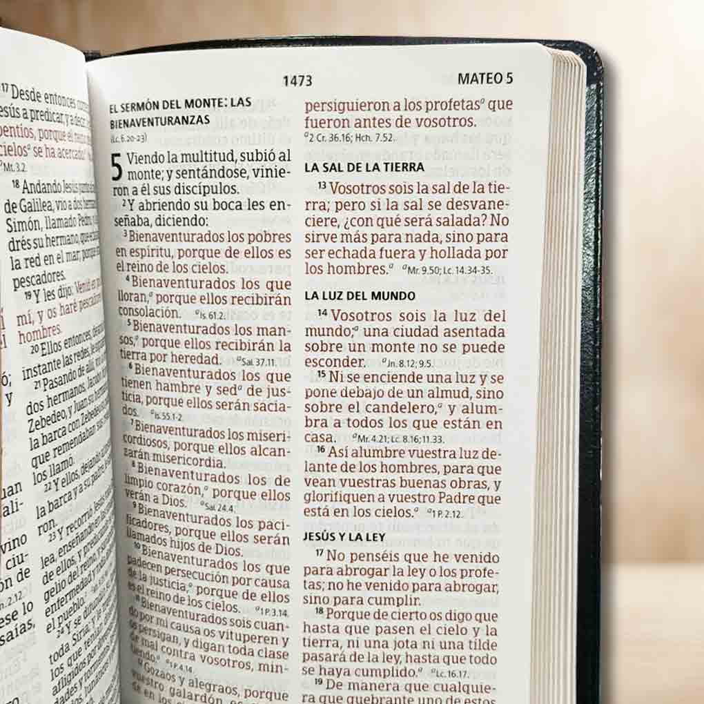 Biblia RVR1960 Letra Gigante 14 Pts Tapa Simil Piel Personal Filo Dorado Negro