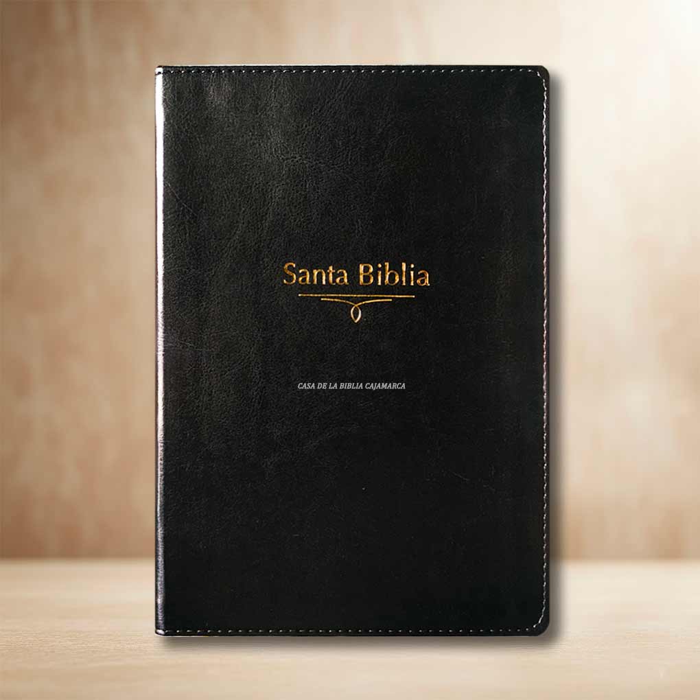 Biblia RVR1960 Letra Gigante 14 Pts Tapa Simil Piel Personal Filo Dorado Negro