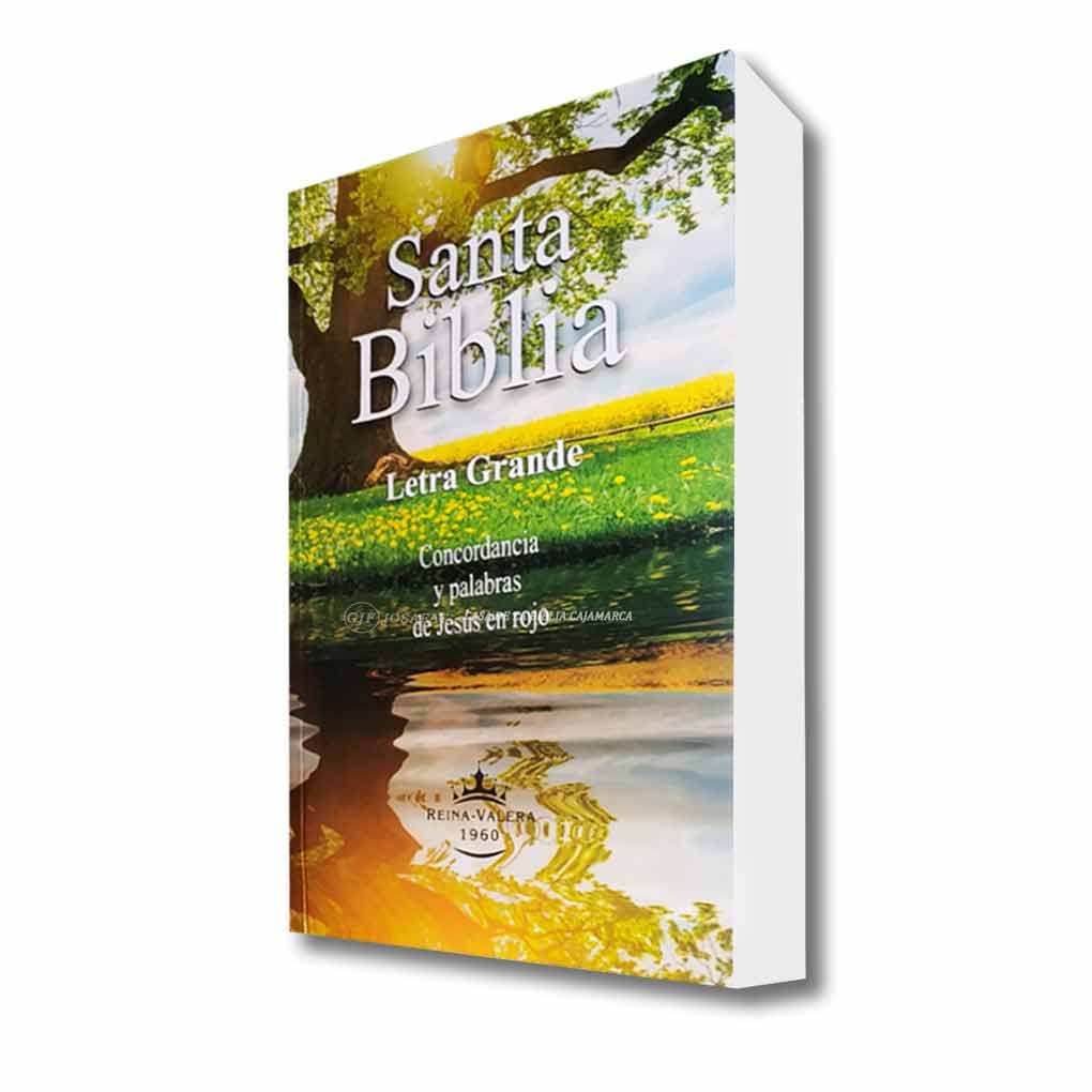 Biblia RVR1960 Personal Tapa Rústica Letra Grande 12 pts Espiga