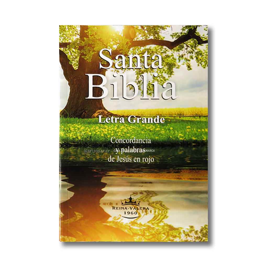 Biblia RVR1960 Personal Tapa Rústica Letra Grande 12 pts Espiga