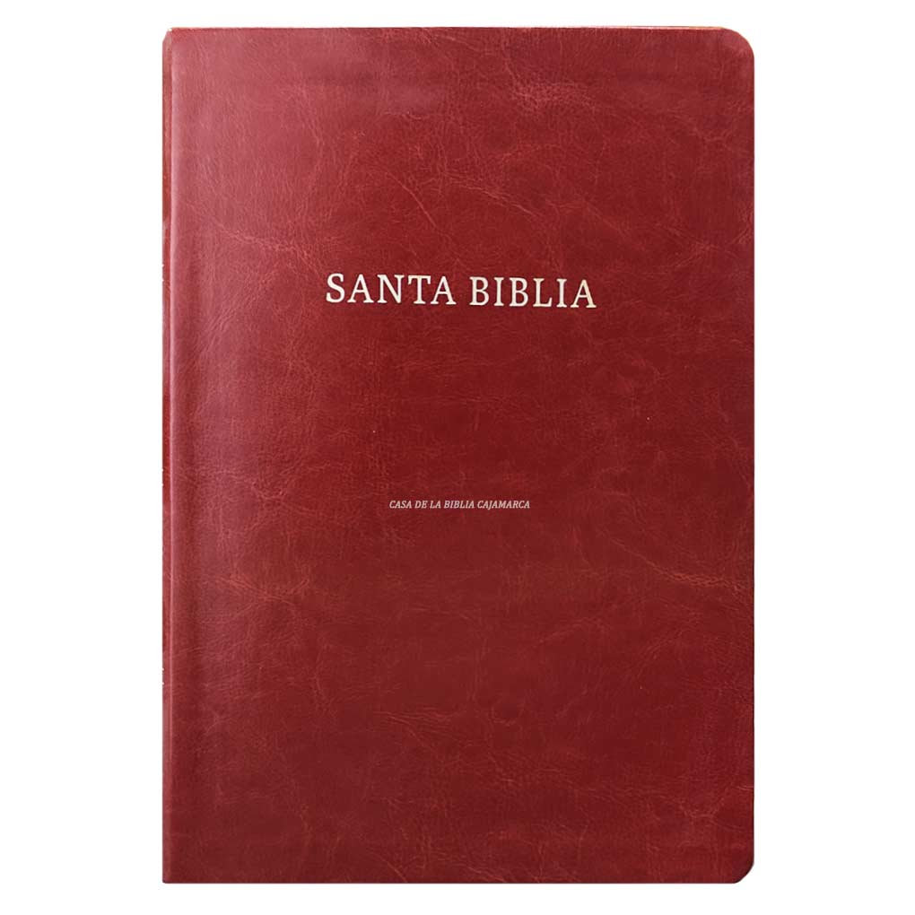 Biblia RVR1960 Letra Super Gigante 17 pts Piel Marron Holman