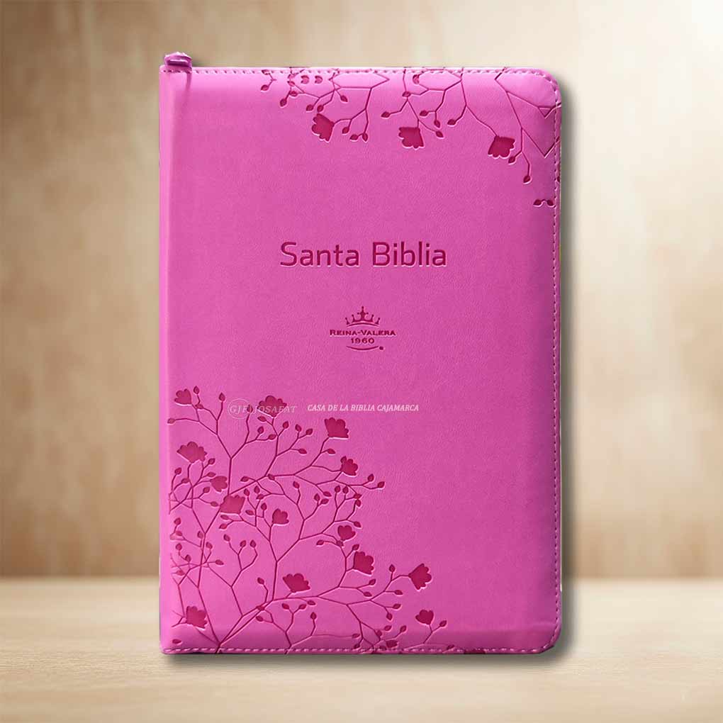 Biblia RVR1960 Tamaño Personal Letra Grande Piel Cierre Indice Fucsia Vida