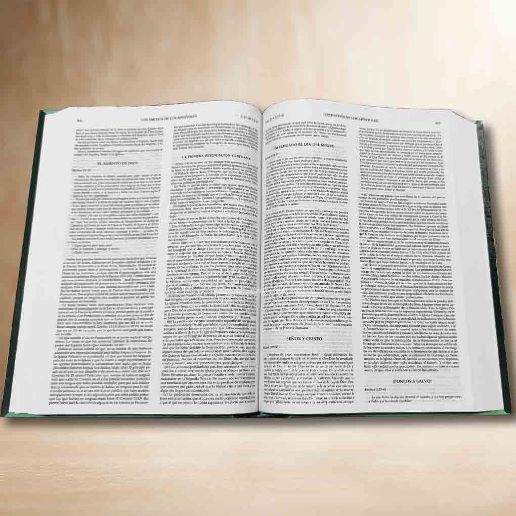 Comentario al Nuevo Testamento William Barclay