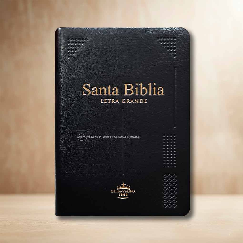 Biblia RVR1960 Letra Grande 11pts Manual Tapa Vinil Indice Negro