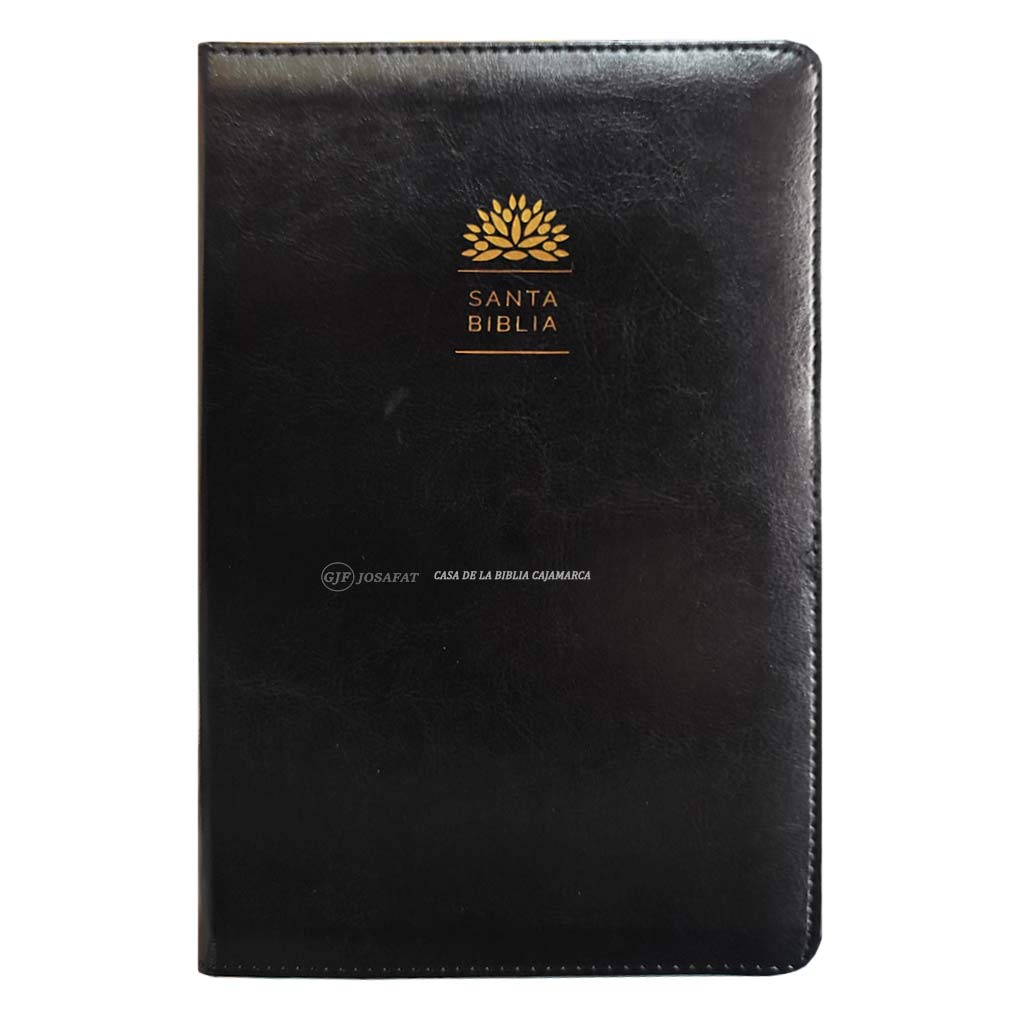 Biblia RVR1960 Tierra Santa Personal Ultrafina Letra Grande Piel Negro
