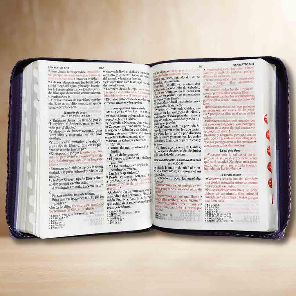 Biblia RVR1960 Letra Gigante 15 pts Tapa Simil Piel Cierre Indice MB Bifloral Morado