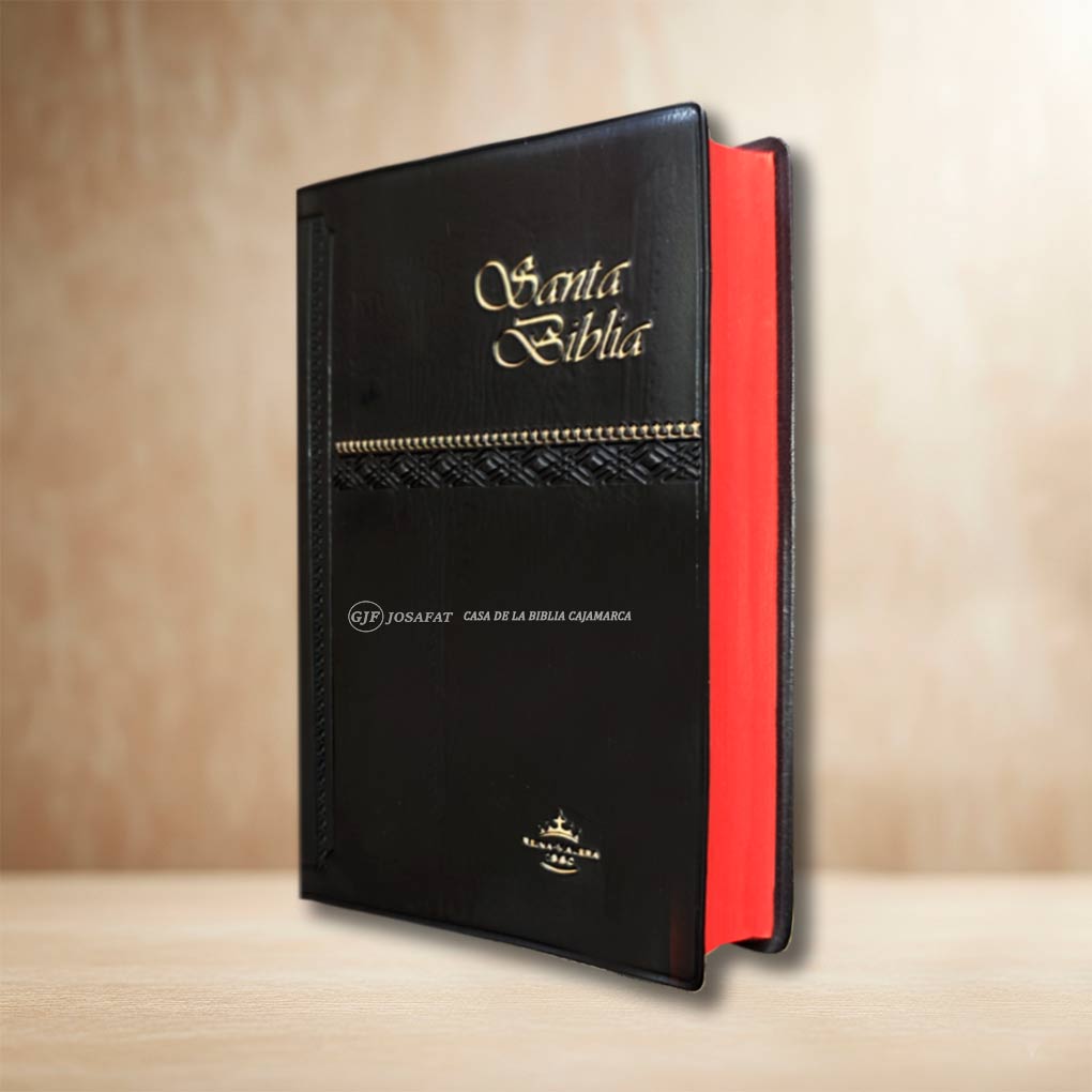 Biblia RVR1960 Manual Tapa Vinil Negro